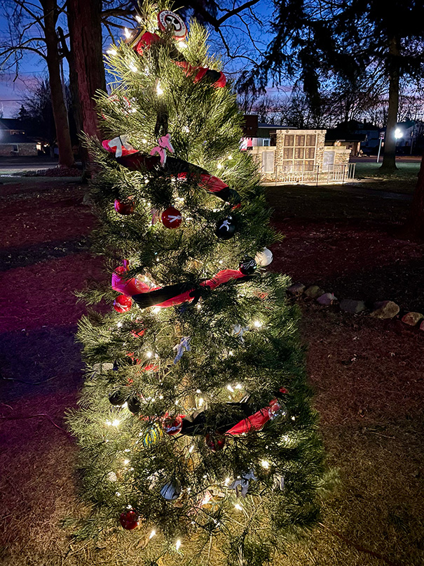 Our 2024 Shine A Light On Metamora Christmas tree is lit!